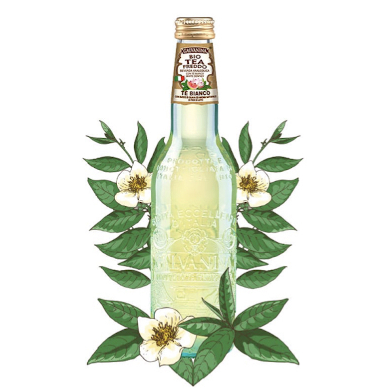 Galvanina Tè Bianco confezione 12 x 355ml.